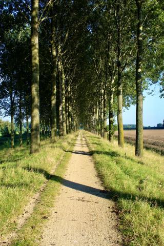 Scheldepolders
